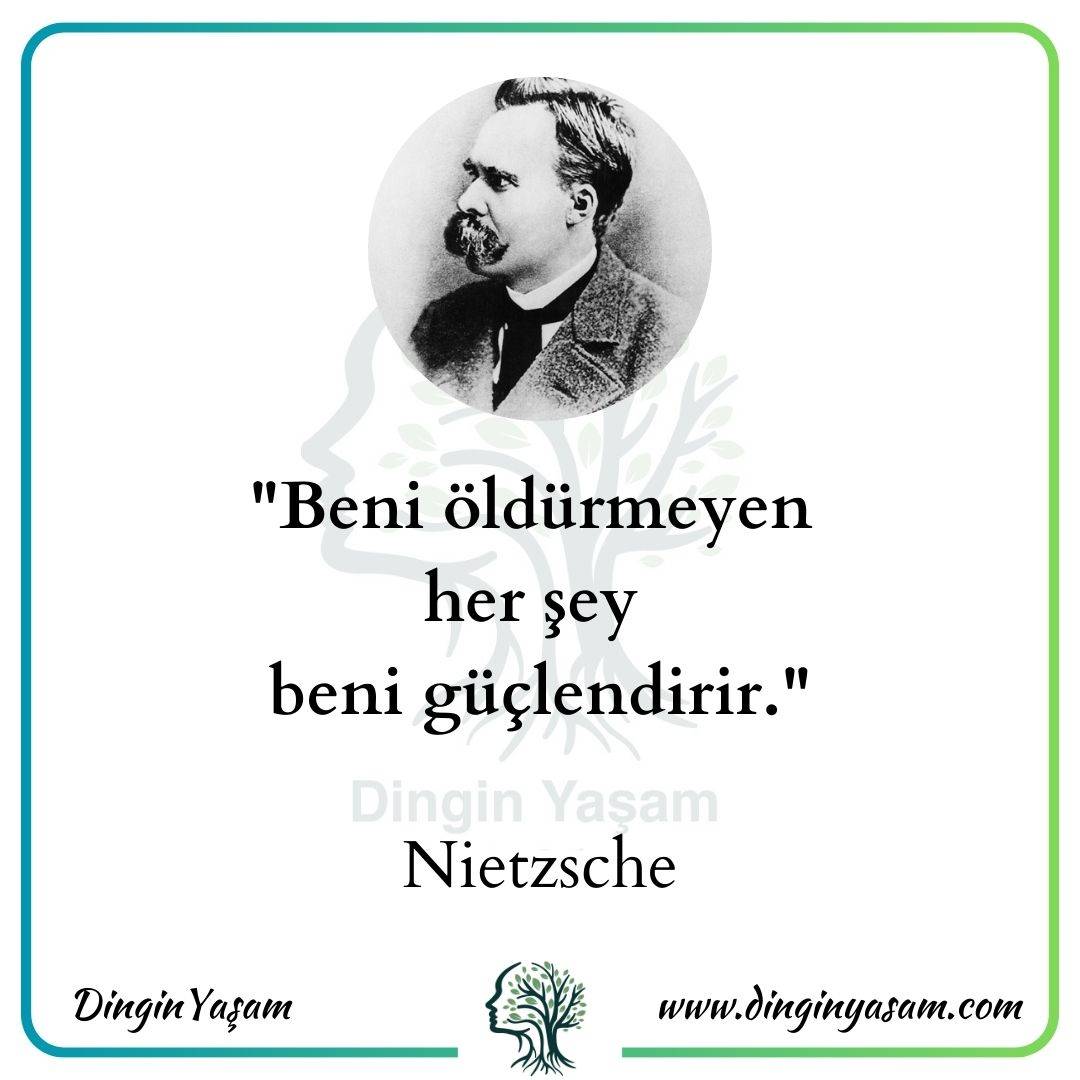 Akıl Dolu Friedrich Nietzsche Sözleri Dingin Yaşam Böyle Buyurdu