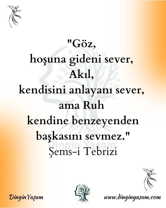 sems i tebrizi sozleri sevgi sozleri