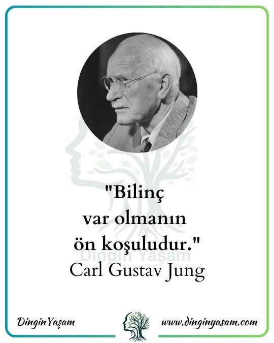 carl jung bilinc sozu