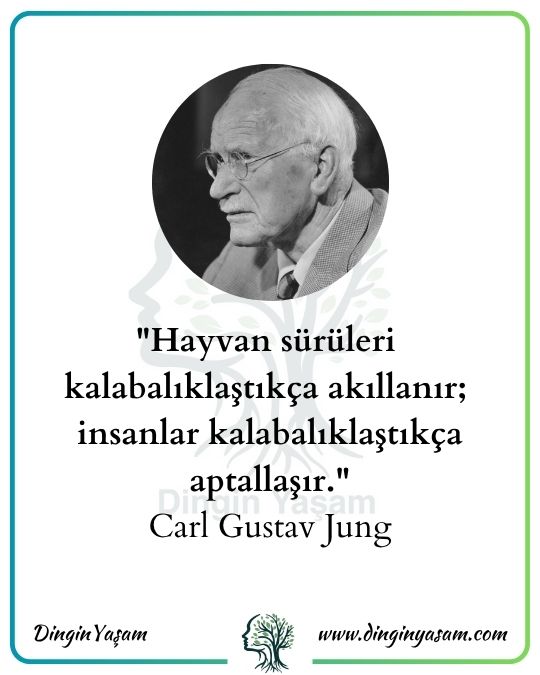 carl jung toplum kalabalik uzerine sozler