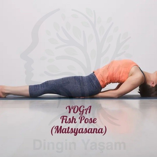 yoga fish pose Matsyasana dinginyasam.com