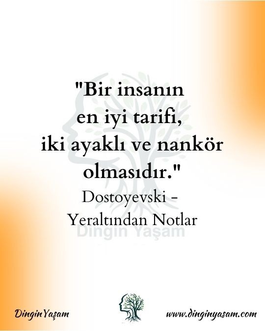 Dostoyevski Sözleri yer altindan notlar dinginyasam