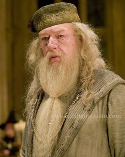 mbti infj karakter harry potter Albus Dumbledore