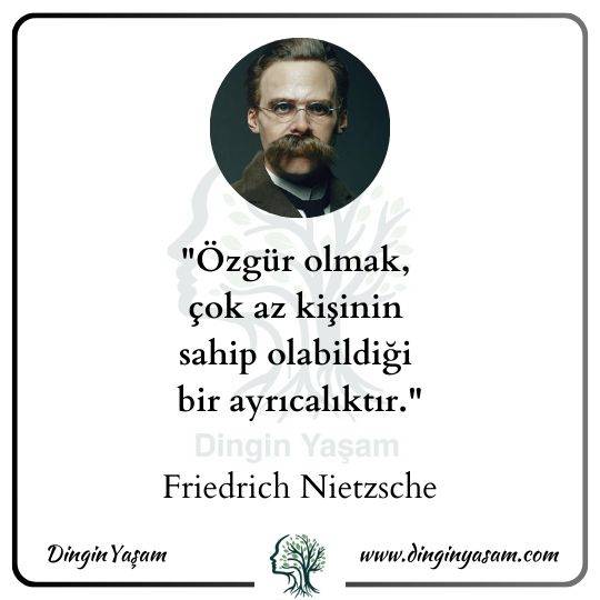 Friedrich Nietzsche sözleri dinginyasam 19