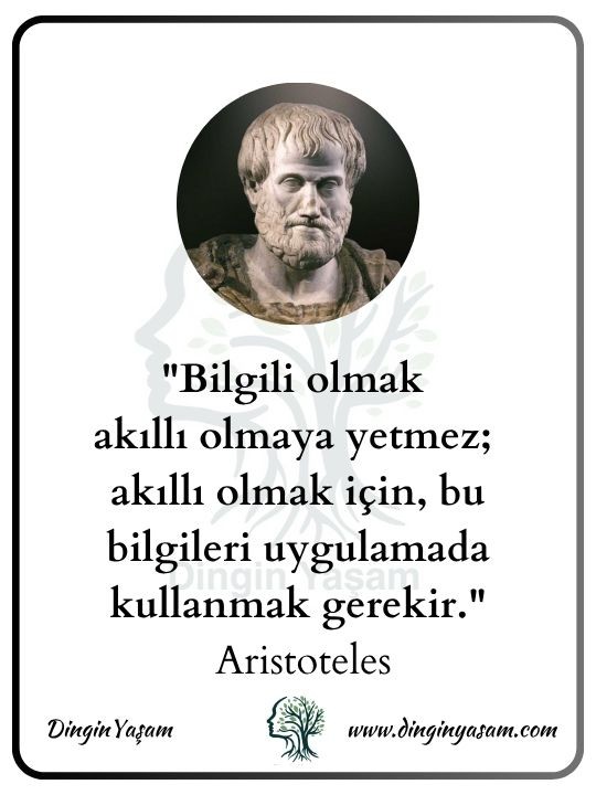 aristo kimdir aristoteles sozleri dinginyasam 12