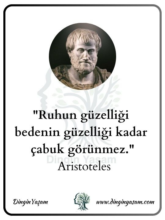 aristo kimdir aristoteles sozleri dinginyasam 13