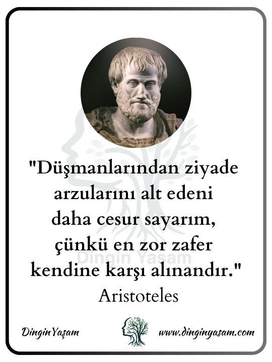 aristo kimdir aristoteles sozleri dinginyasam 14