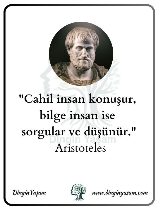 aristo sozleri dinginyasam 1