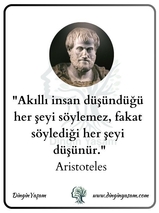 aristo sozleri dinginyasam 2
