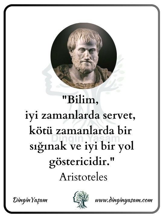 aristoteles kimdir aristo sozleri dinginyasam 6
