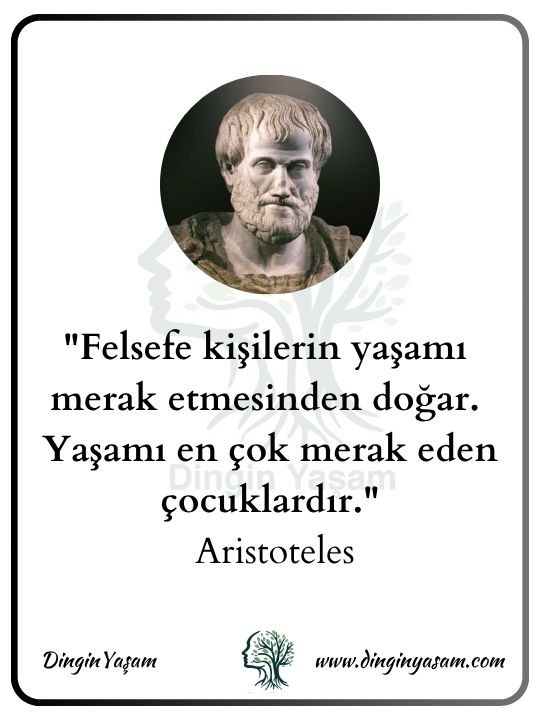 aristoteles kimdir aristo sozleri dinginyasam 7