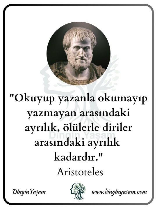 aristoteles kimdir aristo sozleri dinginyasam 8