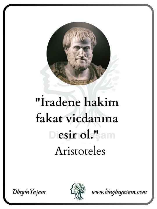 aristoteles kimdir aristo sozleri dinginyasam 9