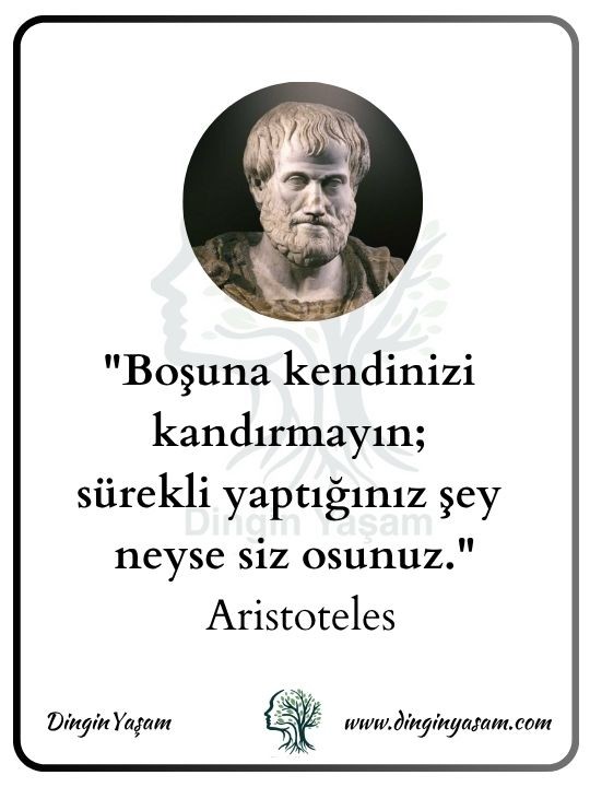 aristoteles sozleri dinginyasam 5