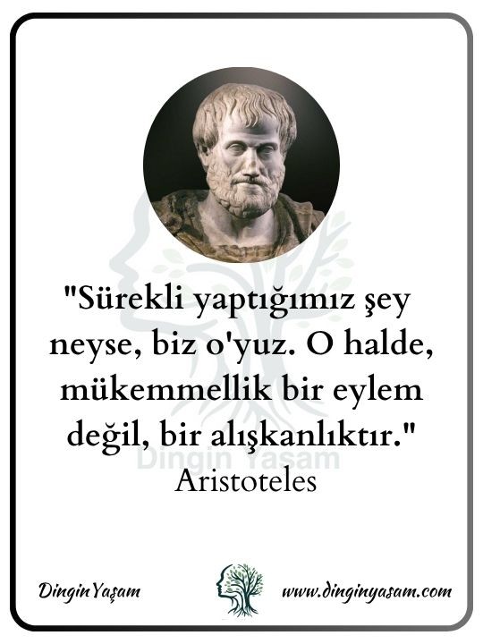 felsefi sozler aristoteles dinginyasam 17