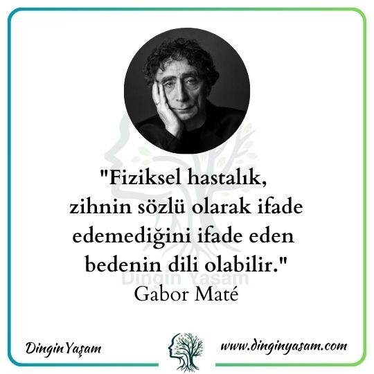 gabor mate hasta eden duygular dinginyasam