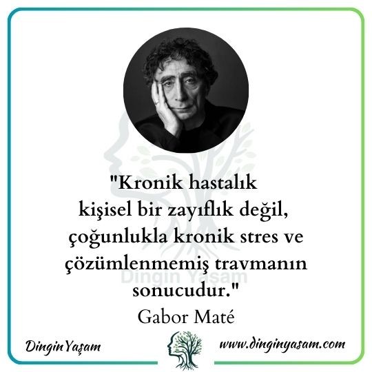 gabor mate sozleri kronik hastaliklar dinginyasam