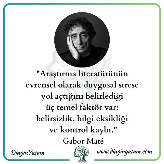 gabor mate stres sozleri dinginyasam