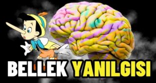 bellek yanilgisi nedir