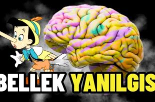 bellek yanilgisi nedir