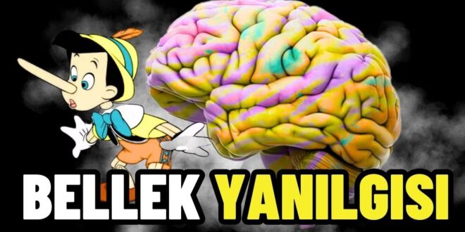 bellek yanilgisi nedir