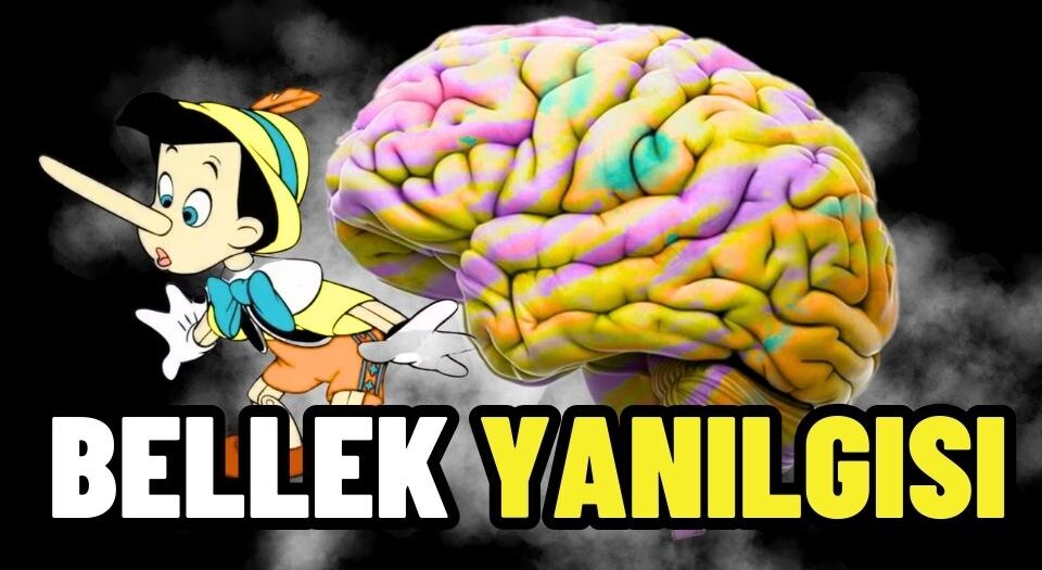 bellek yanilgisi nedir