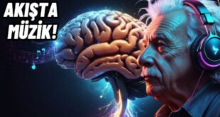 akista müzik Mihaly Csikszentmihalyi dinginyasam