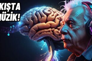 akista müzik Mihaly Csikszentmihalyi dinginyasam