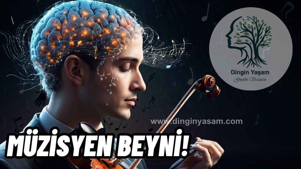 müzisyen beyni farklari dinginyasam