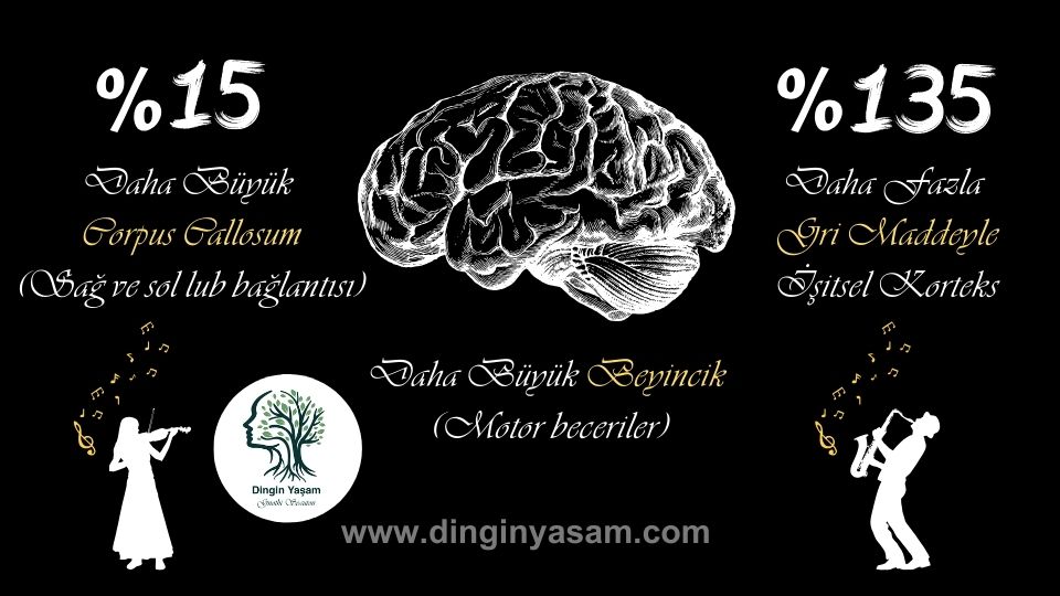 muzisyen beyni ve normal beyin arasindaki fark akista muzik dinginyasam