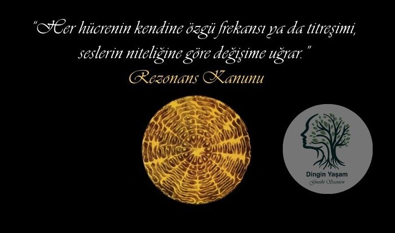 rezonans kanunu seslerin insana etkisi enerjimize etkisi dinginyasam