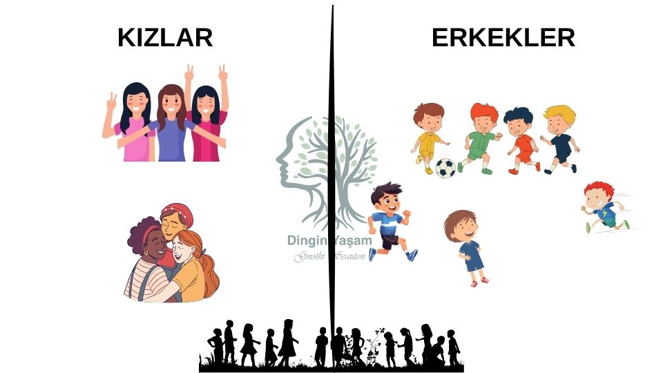 kiz ve erkek cocuklarinin arkadas secimleri daniel goleman duygusal zeka